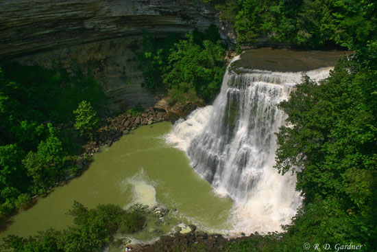 Burgess Falls in Burgess Falls