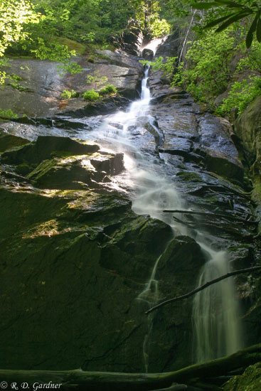 Coon Den Falls in Dennis Cove, Carter County, Tennessee