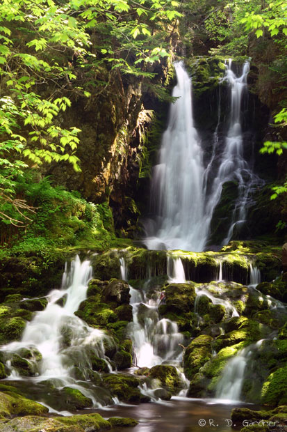 Dickson Falls, Fundy National Park