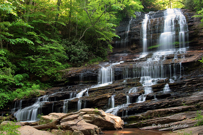 Pearson's Falls near Tryon, NC