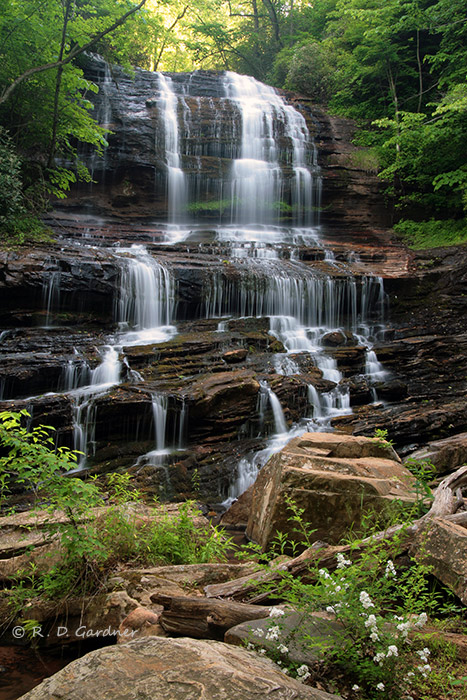 Portrait View of Pearson's Falls